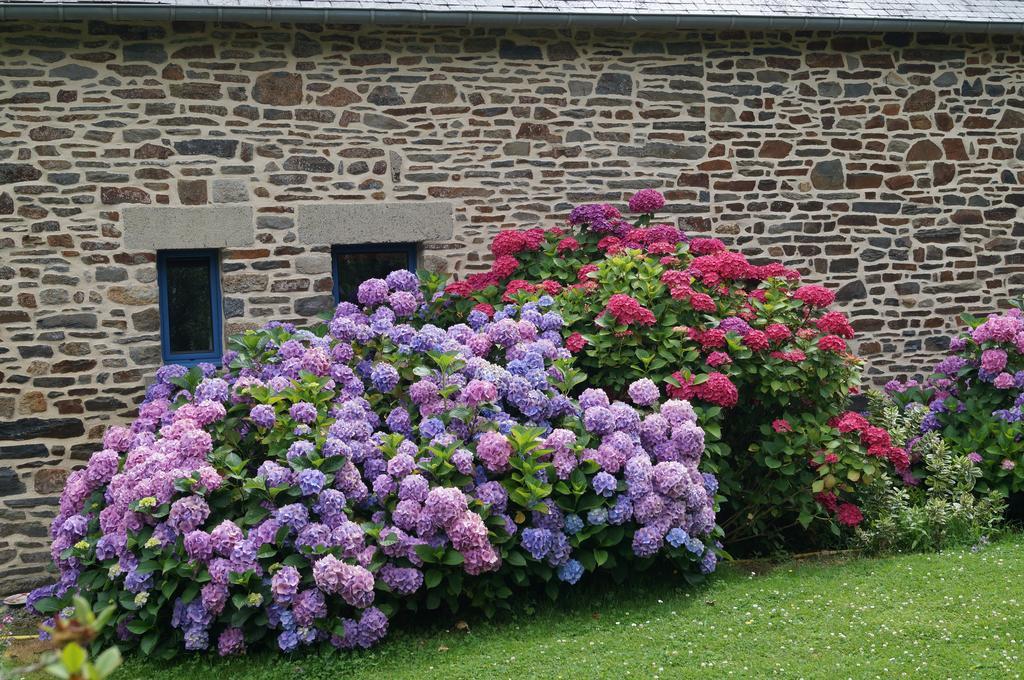 Chambres D'Hotes La Loubatais Dol-de-Bretagne Exteriér fotografie