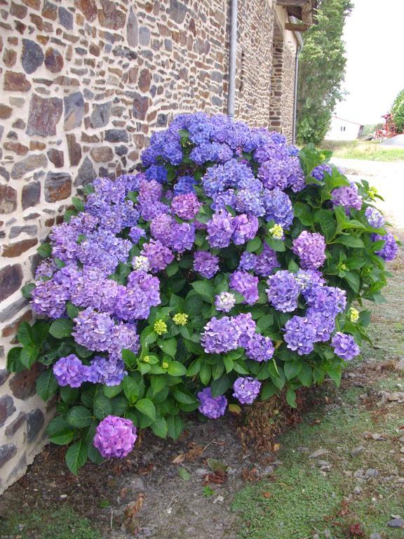 Chambres D'Hotes La Loubatais Dol-de-Bretagne Exteriér fotografie